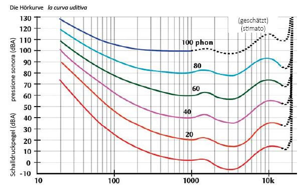 Hörkurve curva uditiva